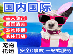 珠海莲洲空运代理国际宠物托运 【国